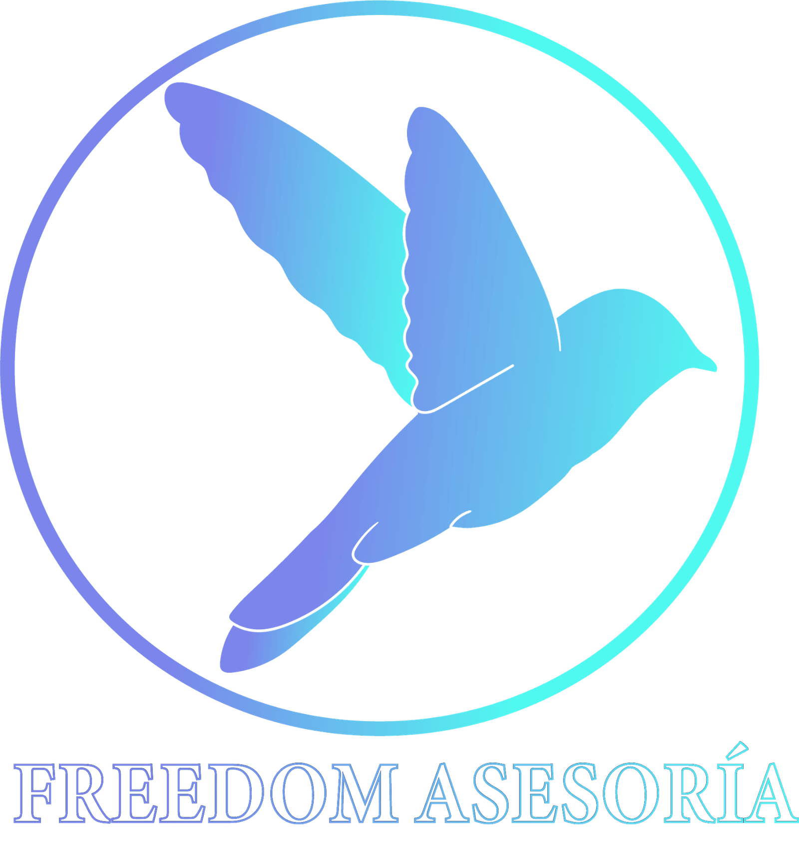 ASESORIA EXPRESS